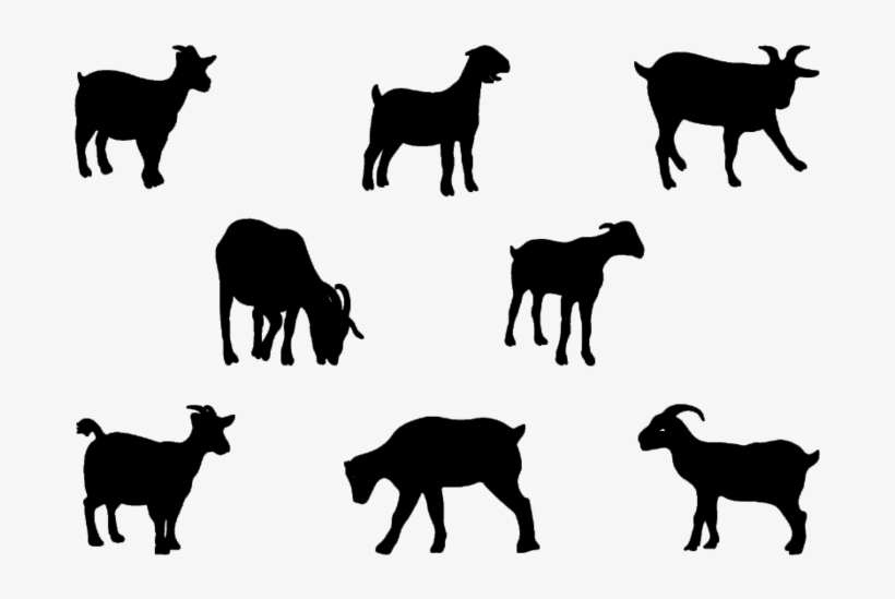 19 Boer Goat Clip Royalty Free Huge Freebie Download - Goat Vector Silhouette, transparent png #1572