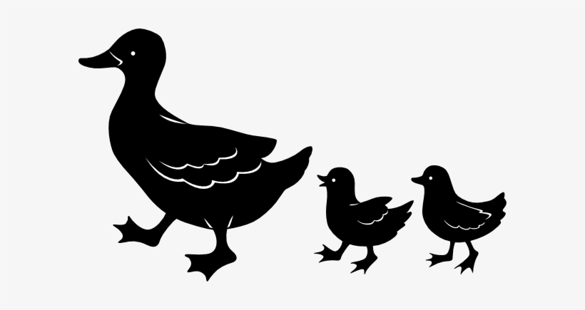Duck Family Silhouette, transparent png #1621