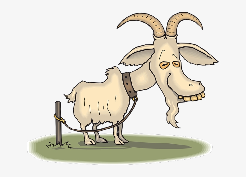 Happy Birthday You Old Goat Greeting Card, transparent png #1650