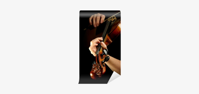 Musician Playing Violin Isolated On Black - Violin, transparent png #3404