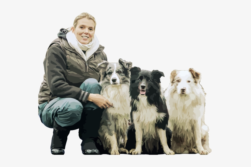 Border Kolie Od Úlu - Companion Dog, transparent png #3785