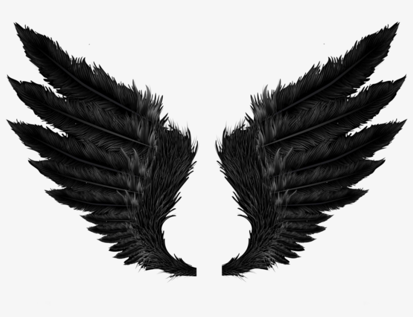 ☁ Transparents ☁ - Wings Png, transparent png #4231
