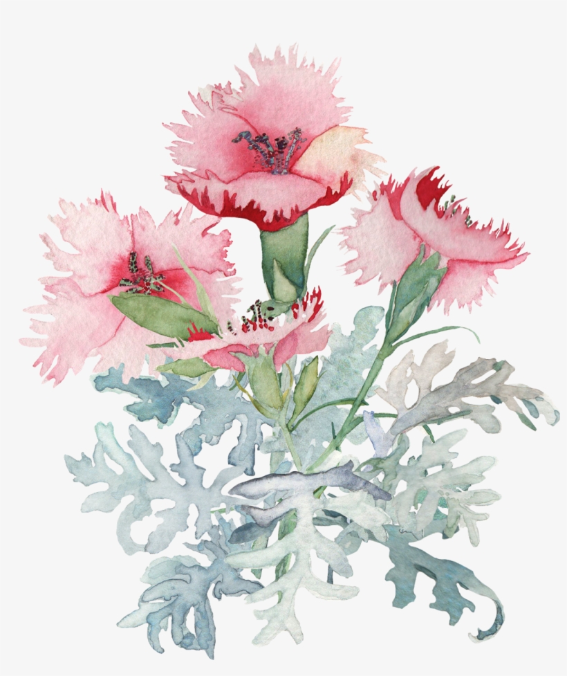 Deep Cove Flowers, Fragrance - Flowers Watercolor Tumblr Png, transparent png #4408