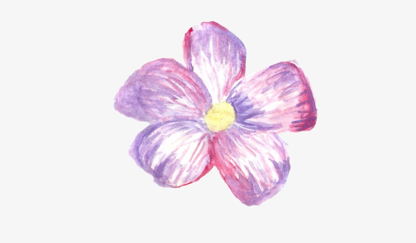 I Don't Know, Vvendys - Png Tumblr Stickers Flowers, transparent png #4545