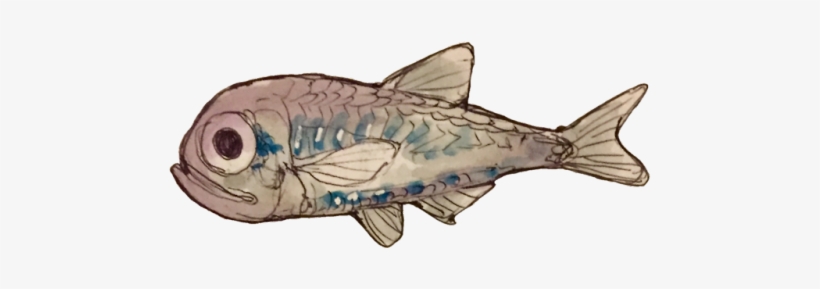 Barreleye, transparent png #4663