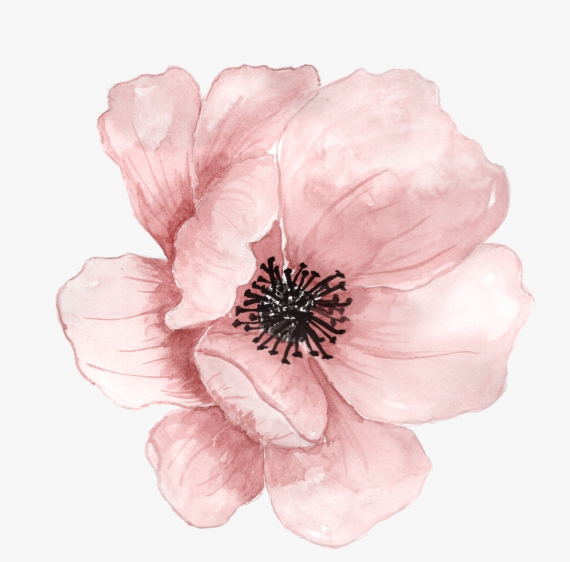 Flower Watercolor Painting Clip Art - Transparent Watercolor Flower Png, transparent png #4694