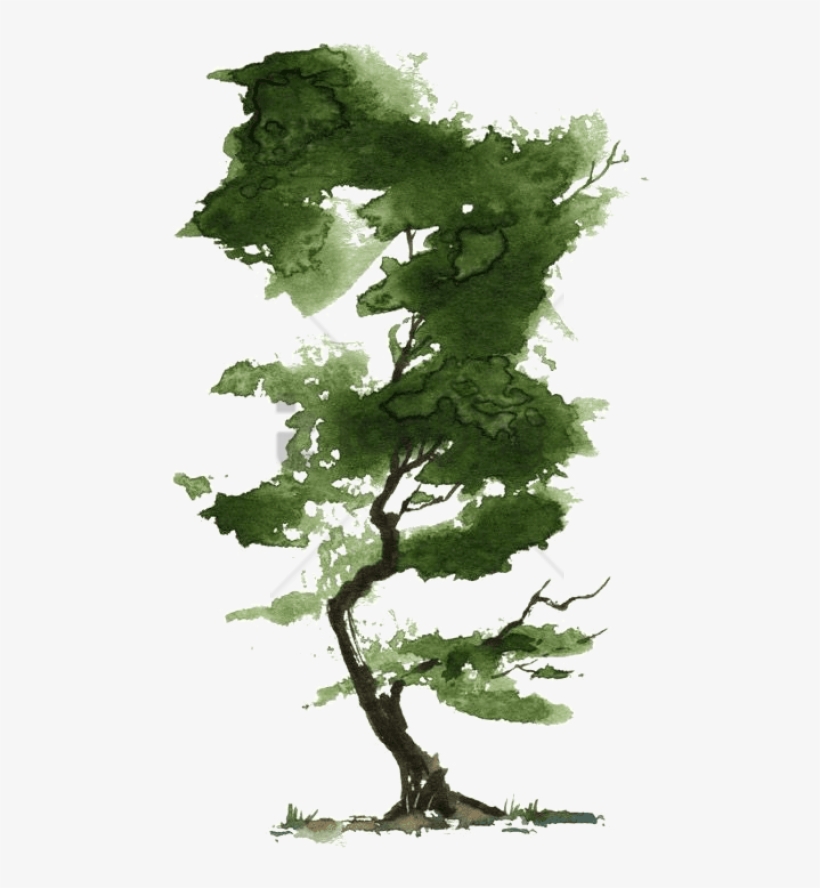 Little Watercolor Trees - Watercolor Tree, transparent png #4712