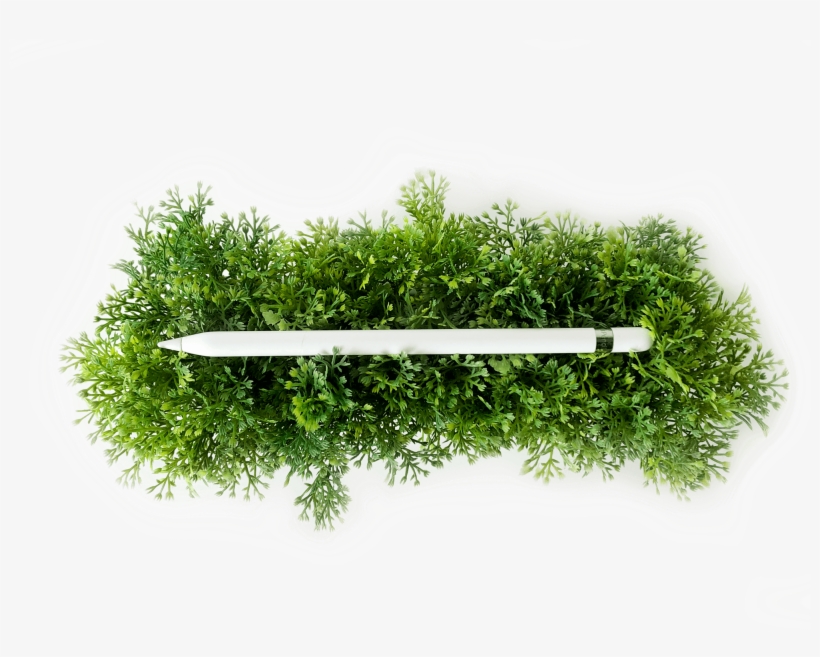 Watercolor Painting, transparent png #4826