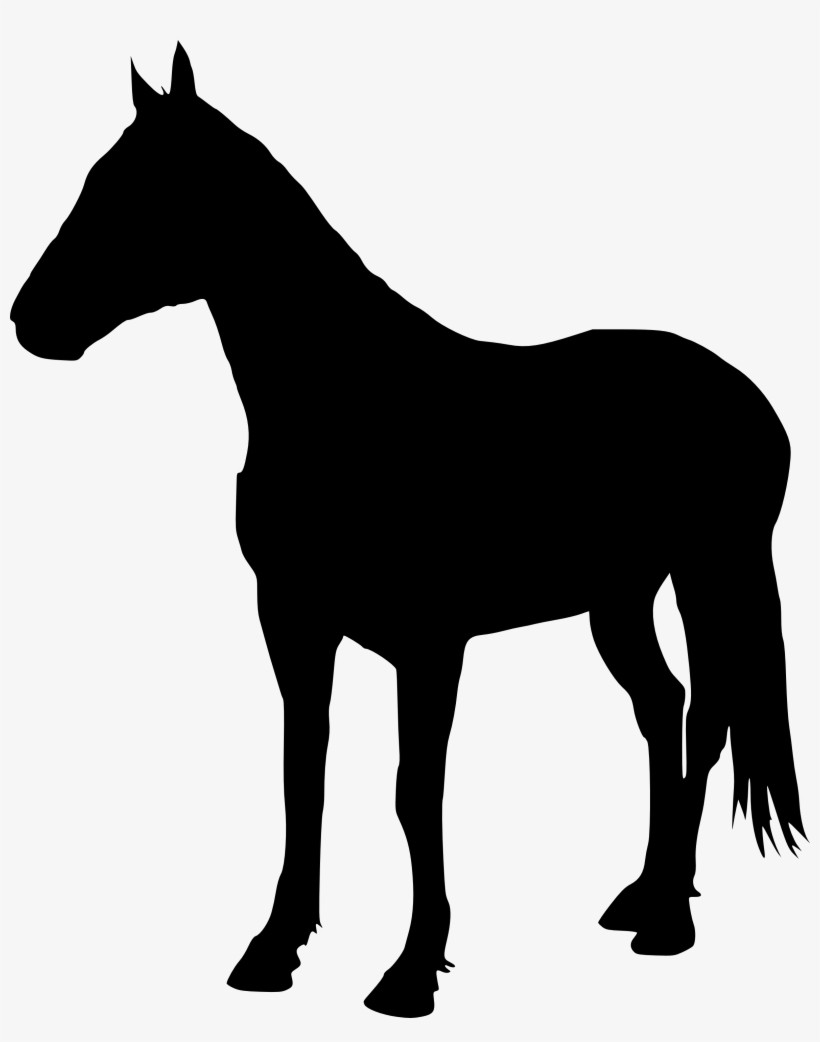 Free Download - Horse Silhouette Transparent Png, transparent png #4832