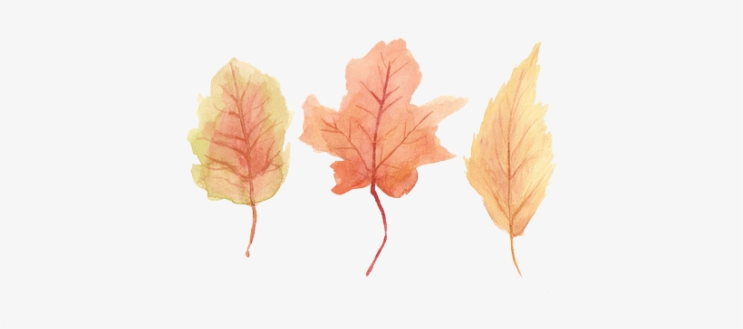 Tumblr Matql6ibym1rh3bmco1 500 - Leaf, transparent png #4834