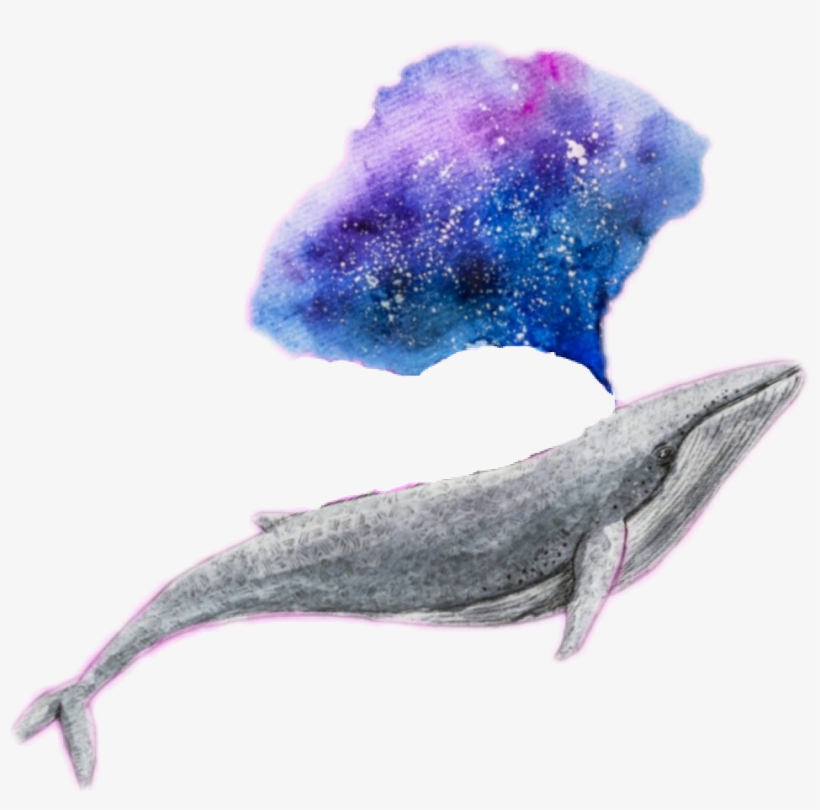 Whale Galaxy Edit Challenge Tumblr - Whale Png, transparent png #4984