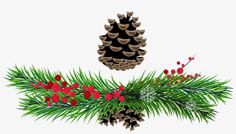 Visit - Pine, transparent png #5008
