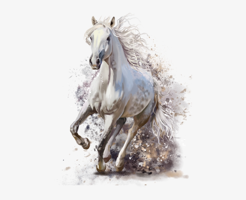 Horse - White Horse Running Painting, transparent png #5196