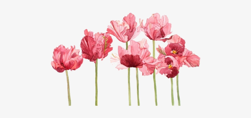 Transparent Flowers Google Search Flower Tumblr Banner - Flowers Transparent, transparent png #5283