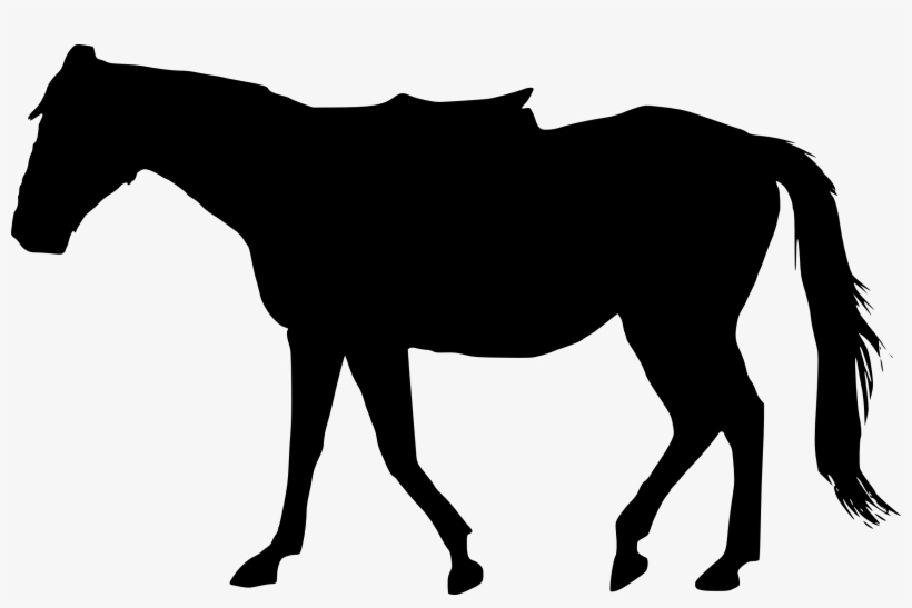 Free Download - Horse Silhouette Transparent Png, transparent png #5393
