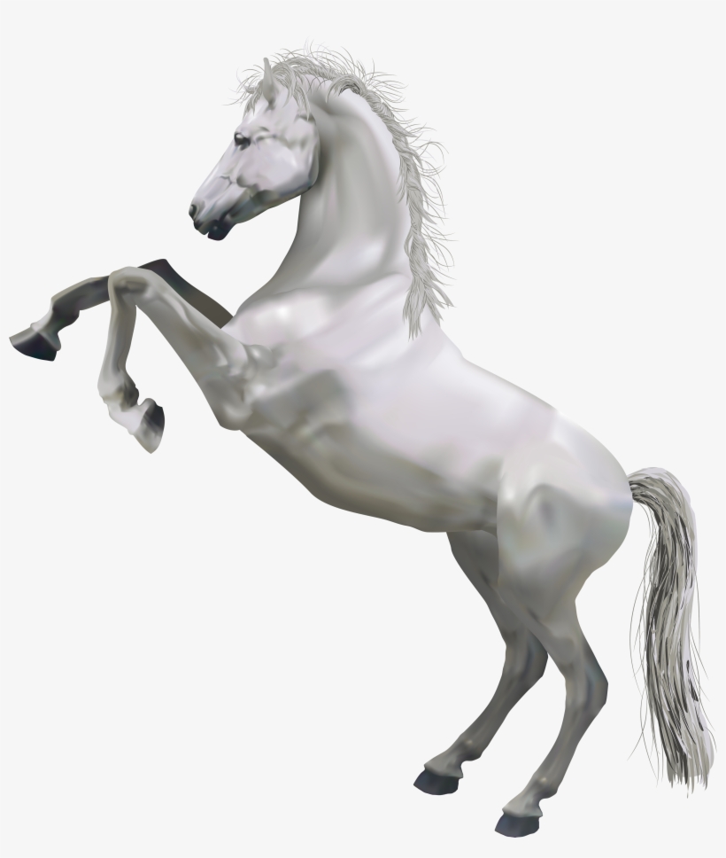 Horse Png, transparent png #5419