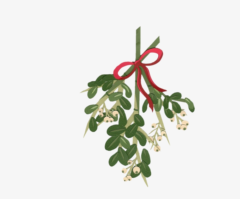 Graphic Transparent Download Clipart Tumblr Frames - Mistletoe Watercolor Clipart, transparent png #5494