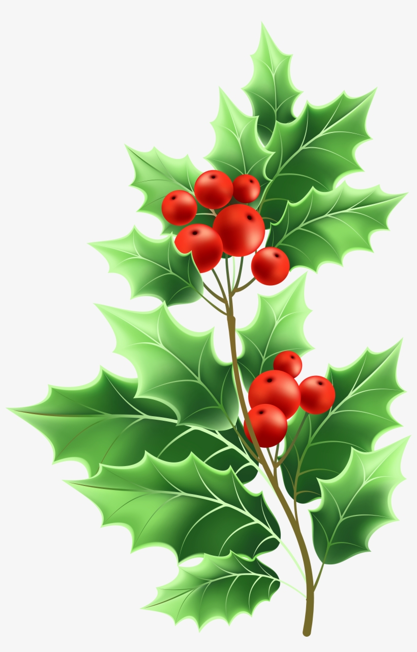 Image Free Stock Christmas Png Clip Art Gallery Yopriceville - Transparent Png Christmas Mistletoe, transparent png #5521