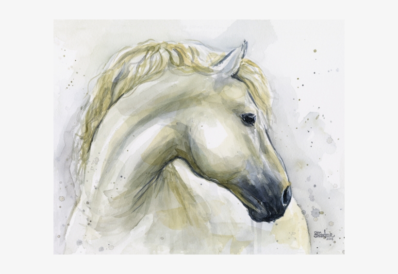 White Horse T Shirt, transparent png #5595