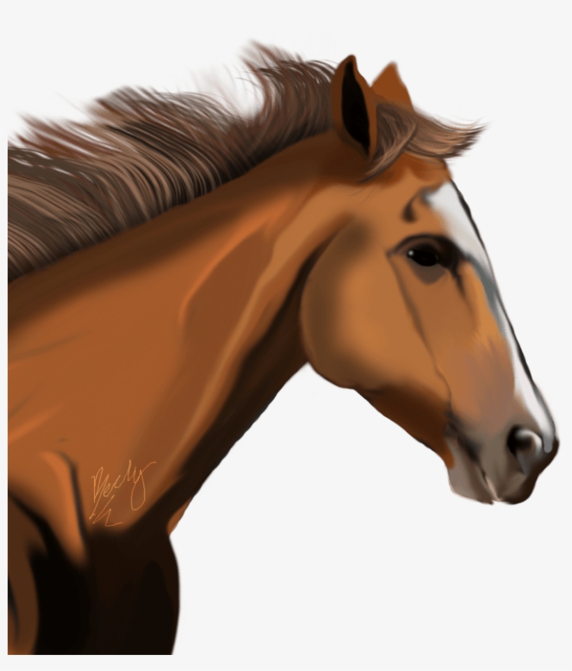 Horse Png - Horse Head Transparent Background, transparent png #5722