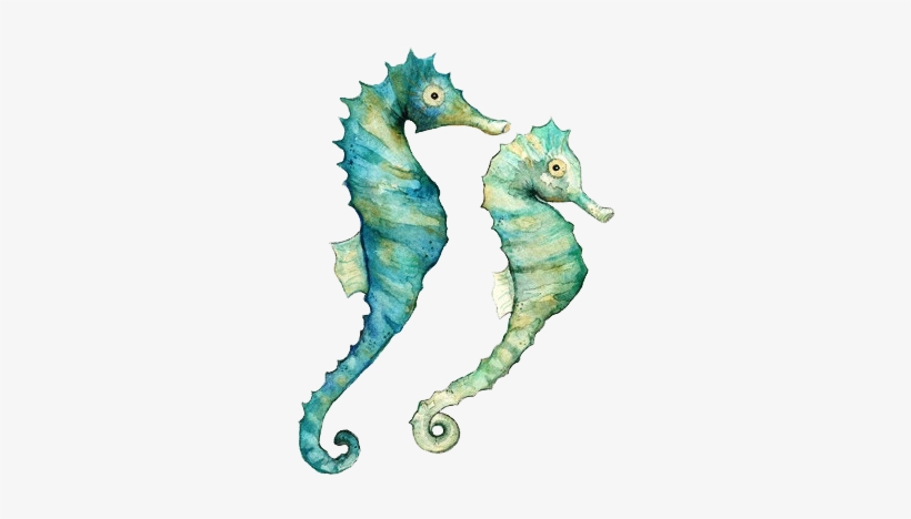 Seahorses Watercolor Print, Watercolor Paintings, Watercolor - Sea Horse Watercolor, transparent png #5755