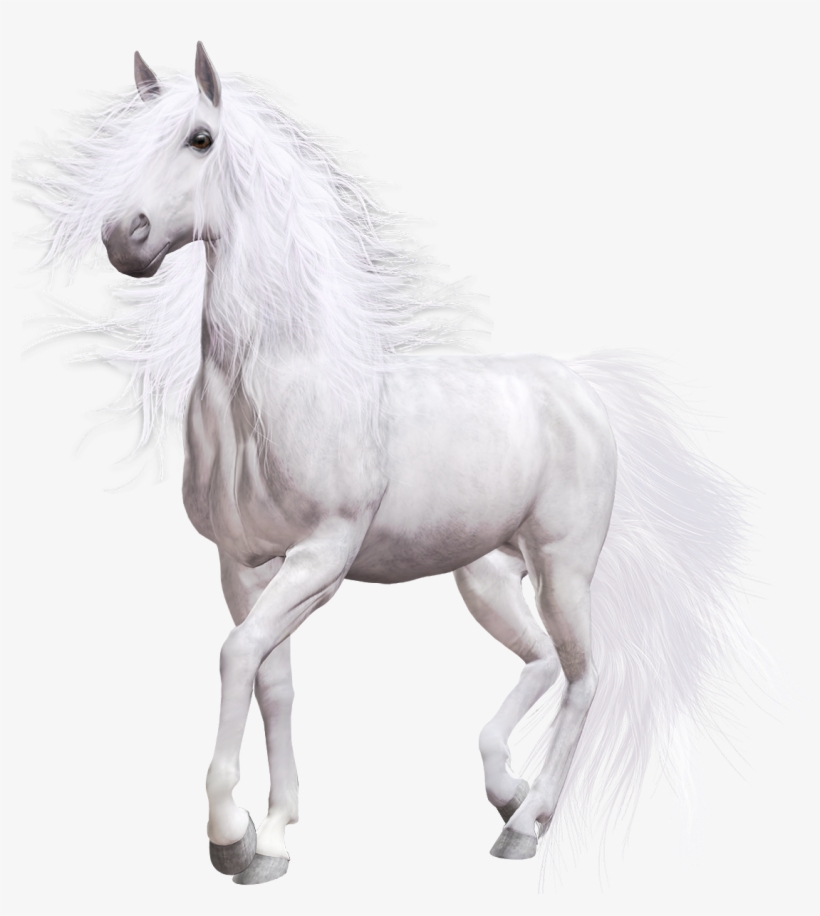 White Horse Png Clip Art - Horse White Clip Art, transparent png #5958