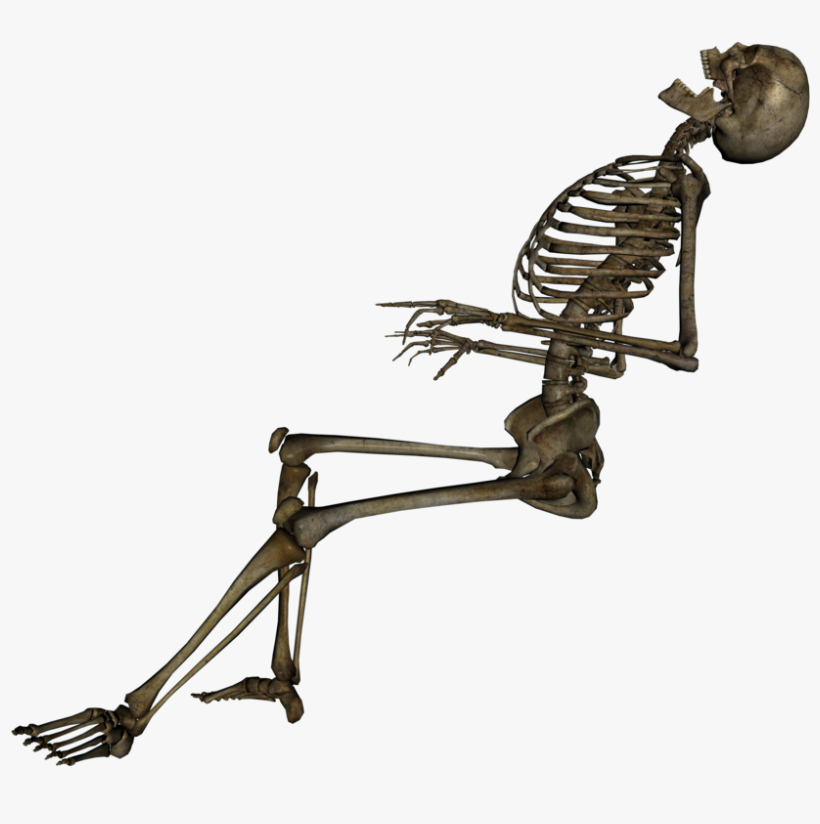 Free Png Skeleton, Skull Png Images Transparent - Skeleton Png, transparent png #5963
