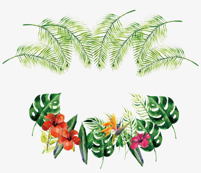 Flower Euclidean Vector Rose Icon - Tropical Plants Vector Png, transparent png #6057