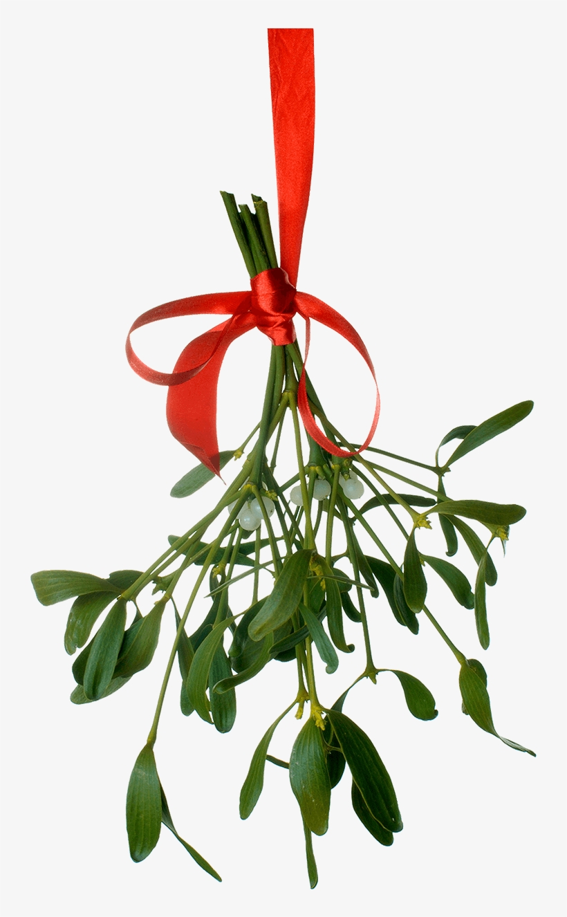 Mistle - Christmas Tumblr Text Post, transparent png #6105