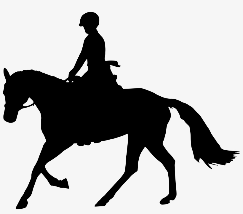 Free Download - Horse Silhouette Transparent Background, transparent png #6108