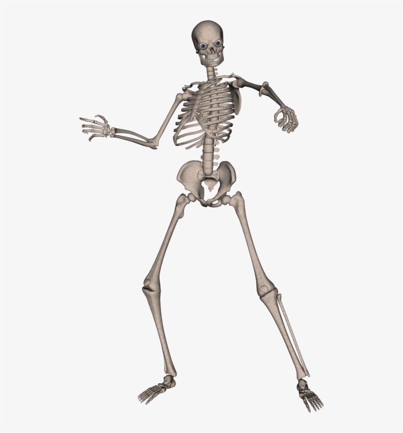 Skeleton, Skull Png Image - Skeleton Png, transparent png #6239