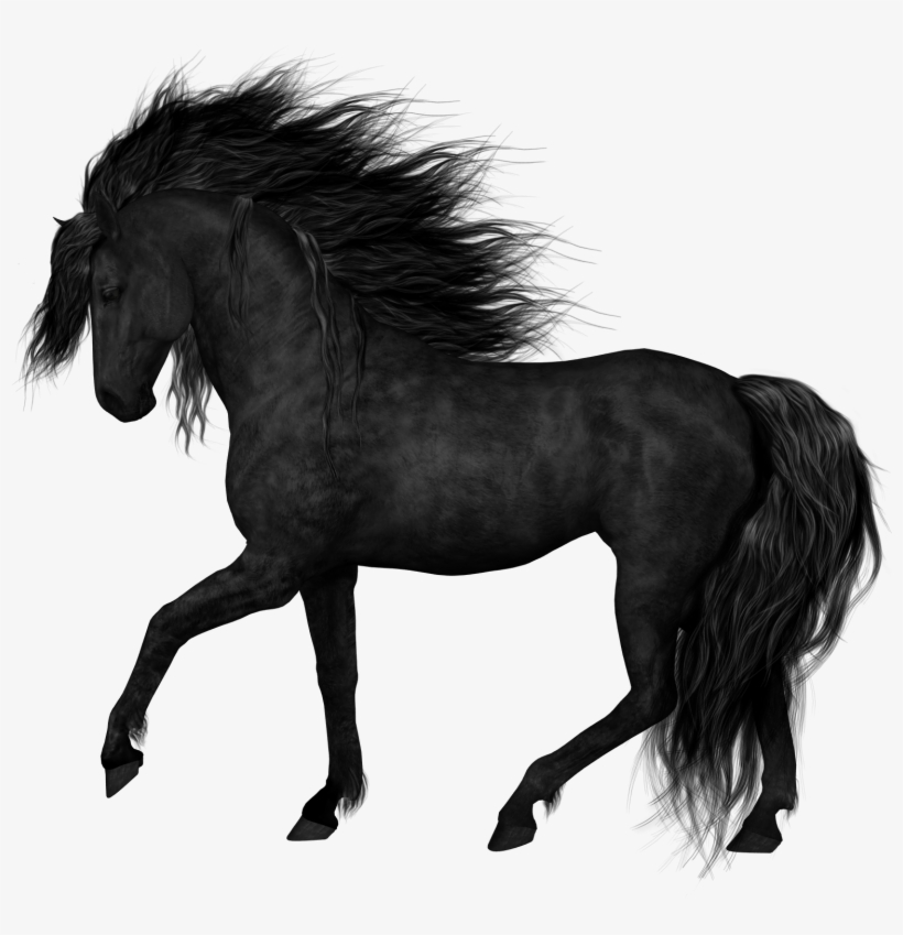 Free Icons Png - Black Horse Png, transparent png #6303