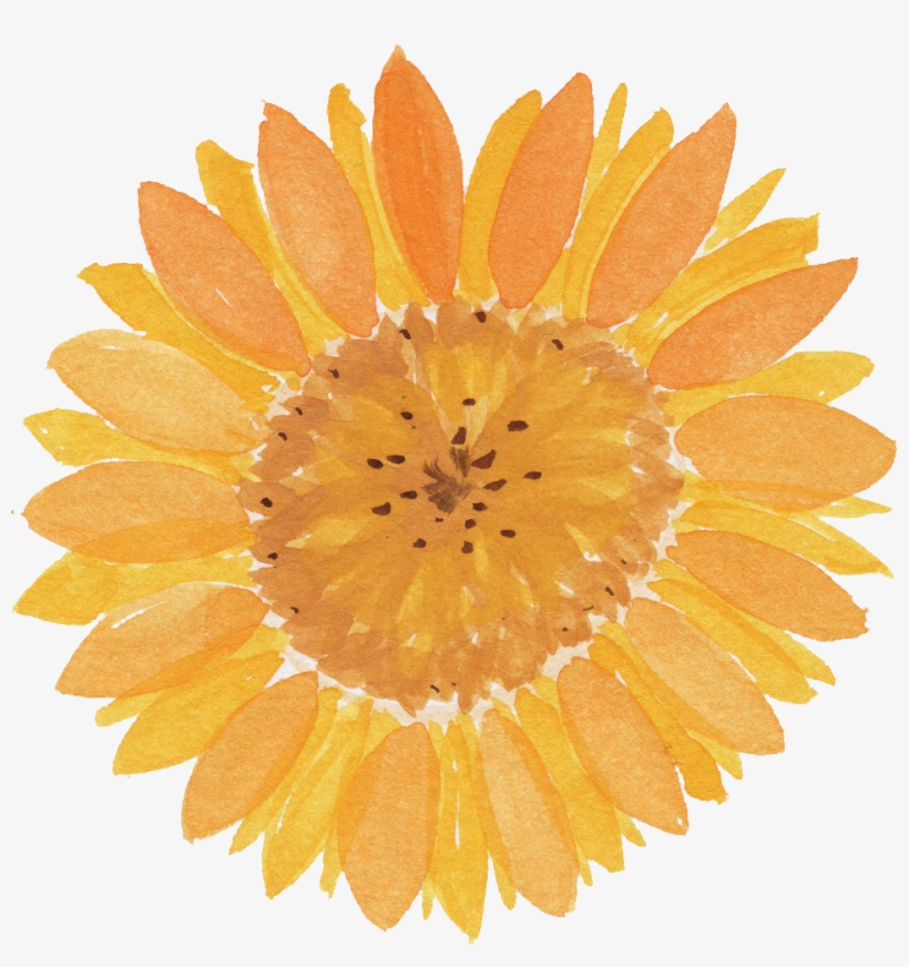 Free Download - Water Color Sunflower Png, transparent png #6320
