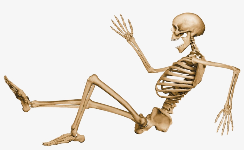 Skeleton Sitting - Skeleton Sitting Down Png, transparent png #6351