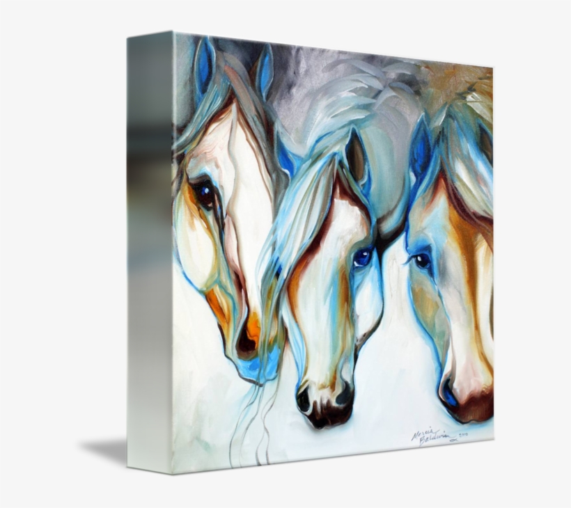 " Wild Horses - Gallery-wrapped Canvas Art Print 11 X 11 Entitled 3, transparent png #6357
