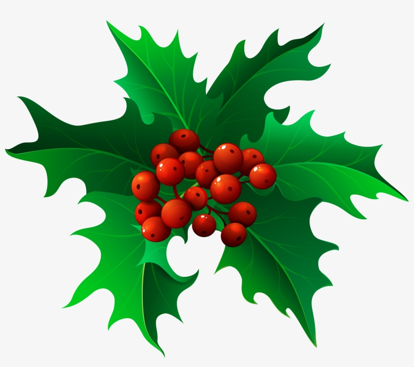 Png Free Download Christmas Holly Png Clip Art Gallery, transparent png #6360