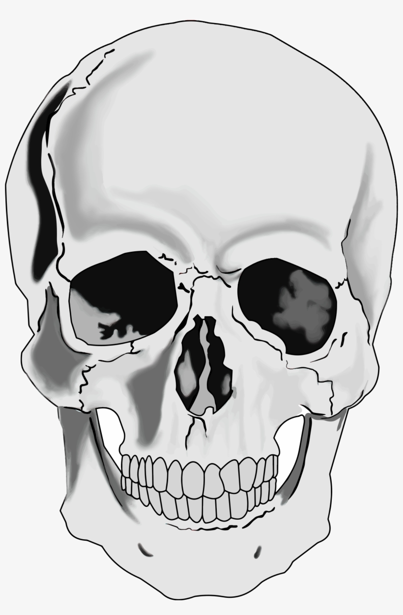 Skull Face Png - Human Skull Clipart, transparent png #6403