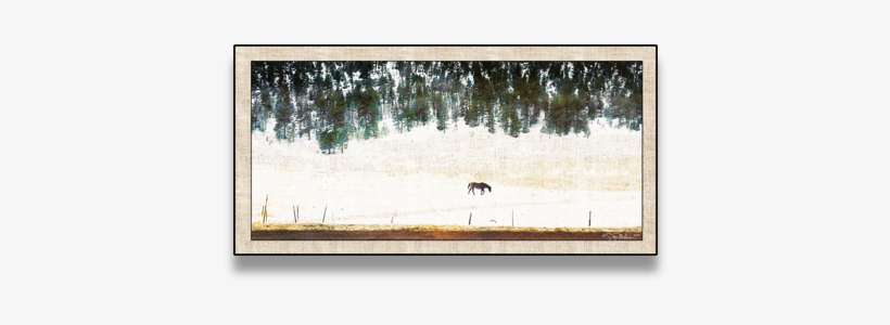 Rocky Mountain Horse Canvas - Picture Frame, transparent png #6405