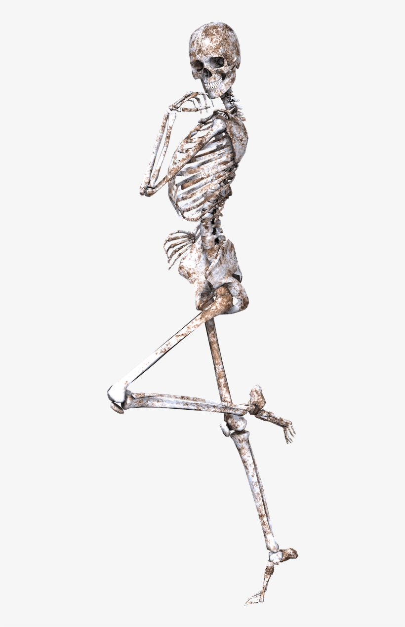 Download - Skeleton With Flowers, transparent png #6481
