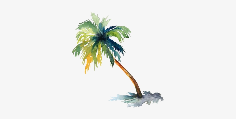 Palm Water Color, transparent png #6557