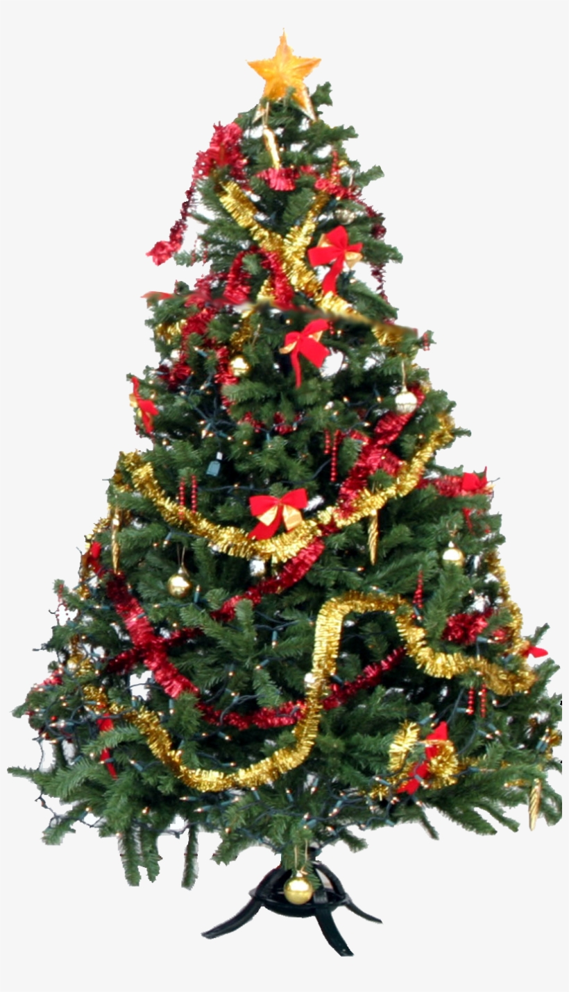 Christmas Tree - Not Looking Forward To The Holidays, transparent png #6675