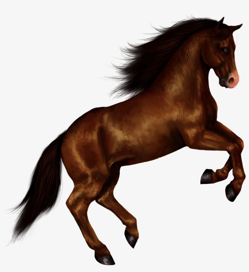 Horse Right Jump - Horse With Transparent Background, transparent png #6811