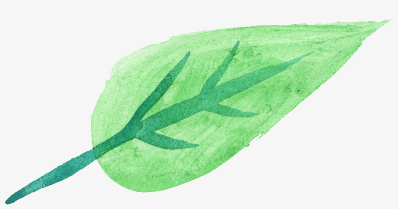 Transparent Watercolor Green - Transparent Green Watercolor, transparent png #6848
