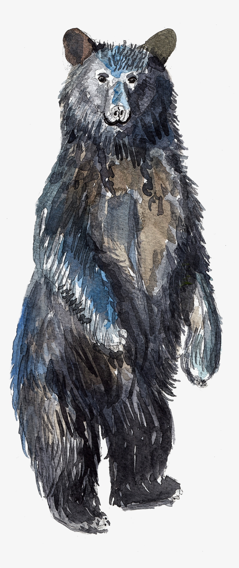 Watercolour Art Watercolor Bear Bear Happy Bear Watercolor - Painting, transparent png #7052
