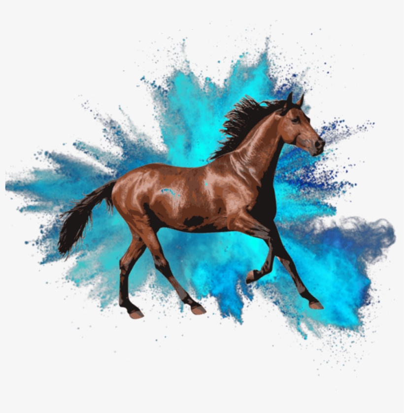 " Horses Need Patience - Picsart Photo Studio, transparent png #7204