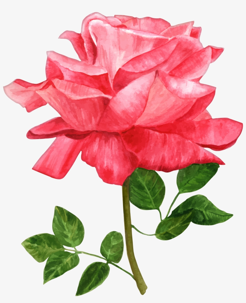 Christmas Ornament Png, transparent png #7207