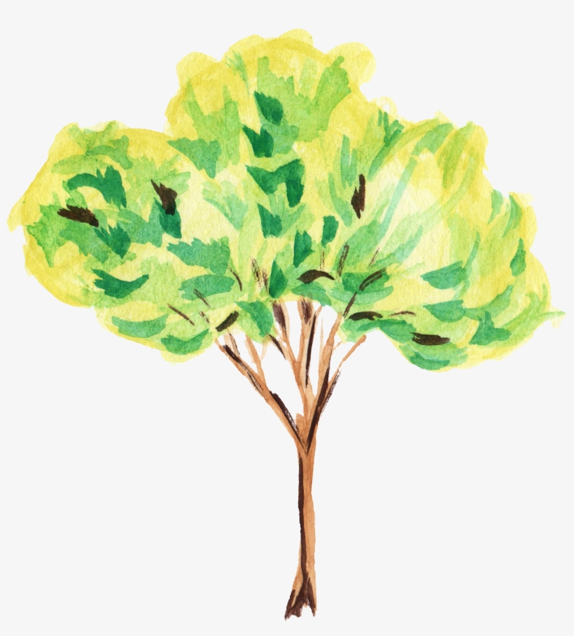 Drawing Tree Crayon - Plant Watercolor Png Free, transparent png #7453