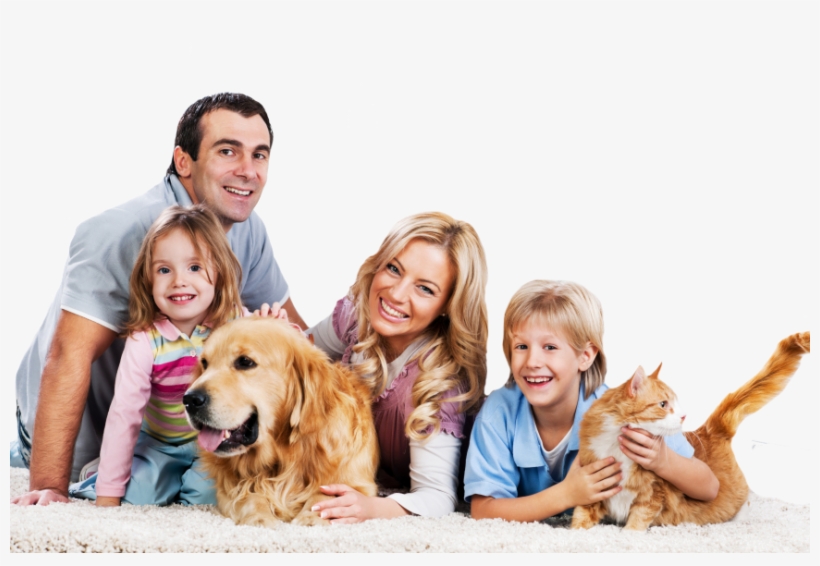 South Howard Animal Clinic Carpet Cleaning Family, transparent png #751