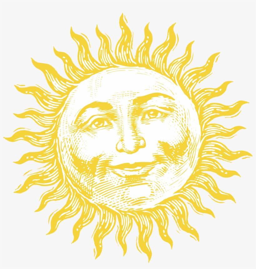 Waterpik Logo Png Transparent - Starting With W, transparent png #7576