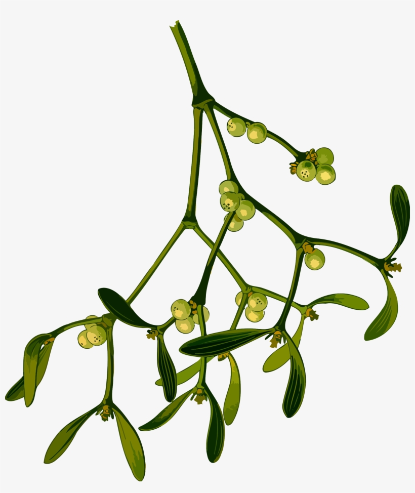 Christmas Mistletoe Computer Icons Vintage Christmas - Clipart Mistletoe, transparent png #7678